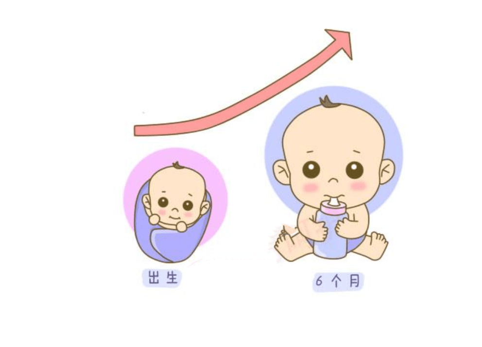 2025年1月4日 第26页