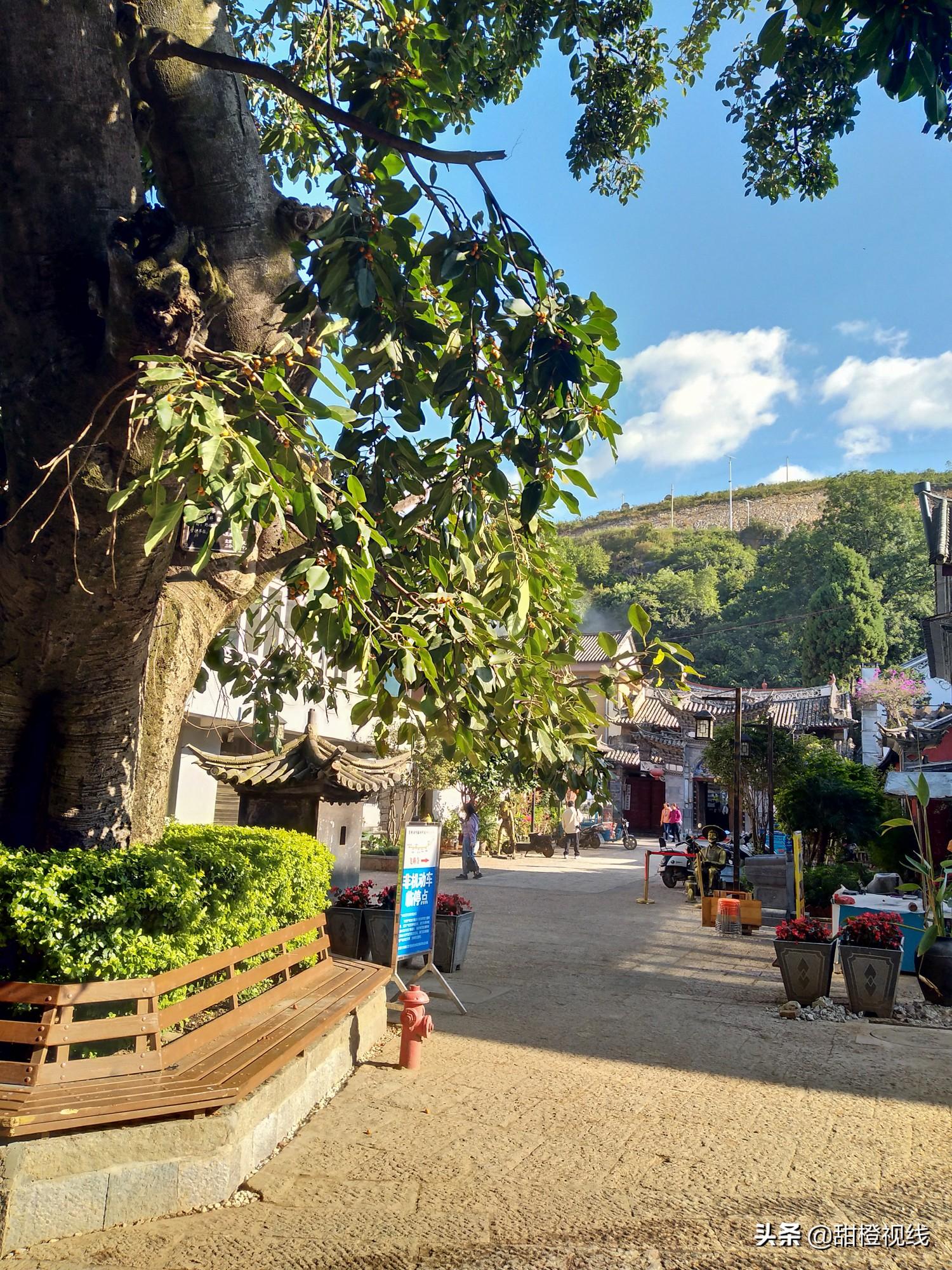 广东飞燕建设有限公司，塑造未来的建筑力量