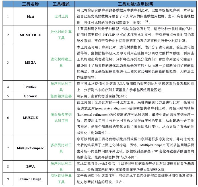 广东省大学等级划分表，深度解读与分析