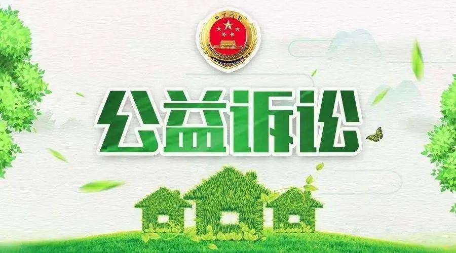 广东省公益诉讼排名及其影响力